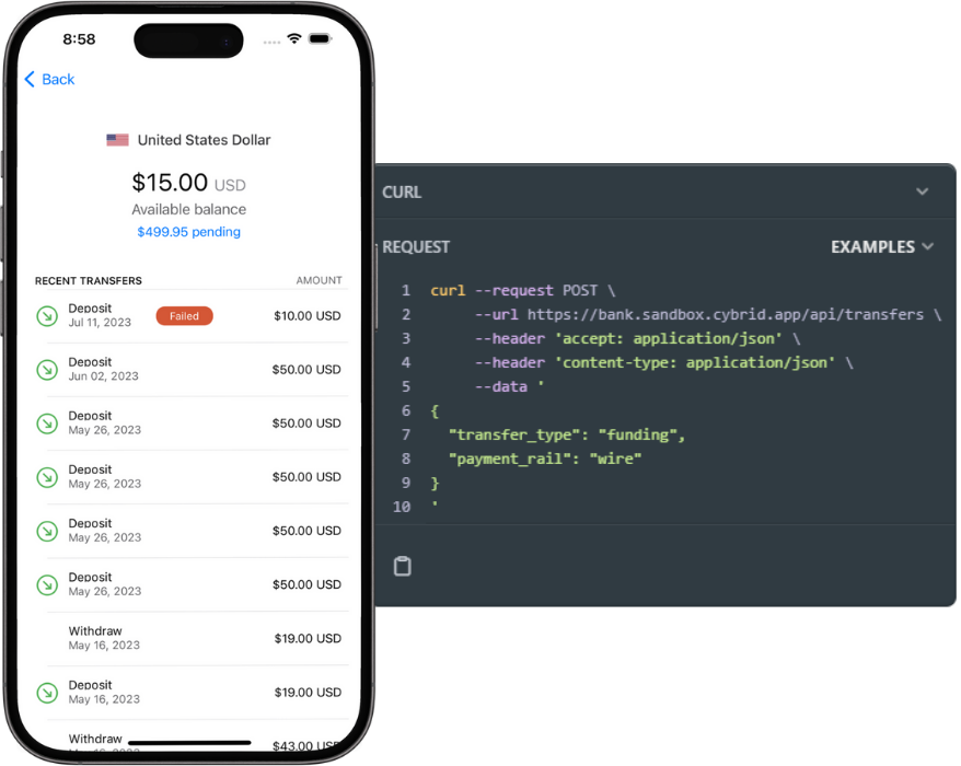 Embedded Wire Payments API