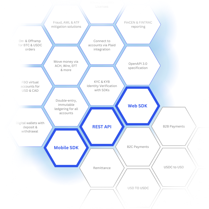 Payment API Infrastructure for Embedded Finance (1)